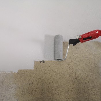 Rouleau Laqueur à Poils